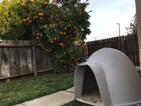 1313 Mckinley St, Fairfield, CA 94533 photo 49