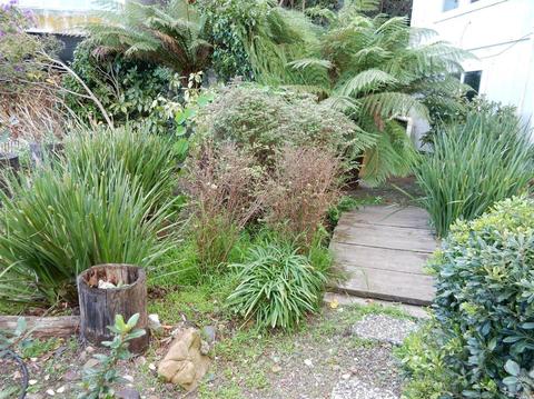 207 Valley St, Sausalito, CA 94965 photo 19