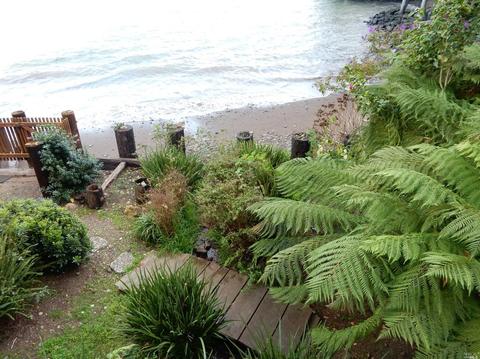 207 Valley St, Sausalito, CA 94965 photo 10