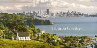 14 Cibrian Dr, Tiburon, CA 94920 photo 23