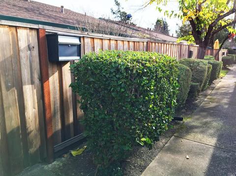 421 Lincoln Ave, Cotati, CA 94931 photo 2