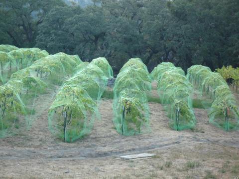 Undisclosed, Willits, CA 95490 photo 30