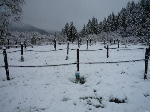 Undisclosed, Willits, CA 95490 photo 39