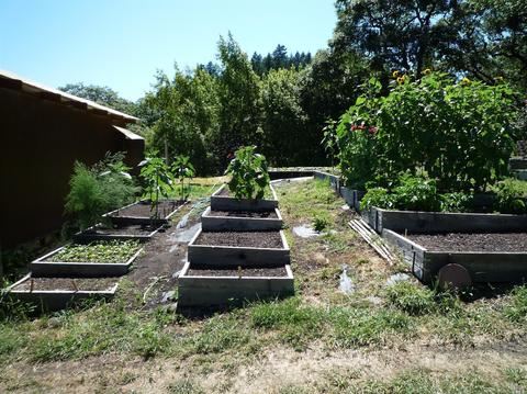 Undisclosed, Willits, CA 95490 photo 35