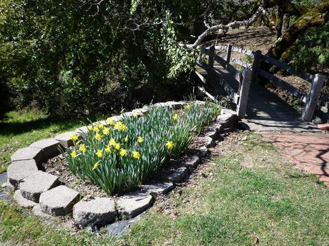 Undisclosed, Willits, CA 95490 photo 34