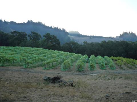 Undisclosed, Willits, CA 95490 photo 31