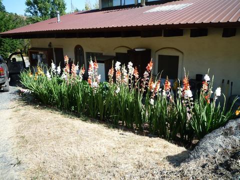 Undisclosed, Willits, CA 95490 photo 15
