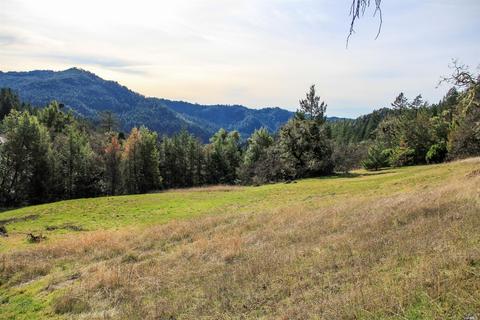 Undisclosed, Willits, CA 95490 photo 25
