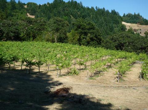 Undisclosed, Willits, CA 95490 photo 32