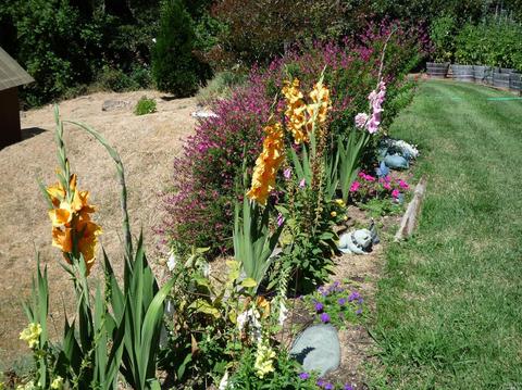 Undisclosed, Willits, CA 95490 photo 37