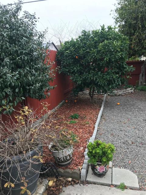 225 Stanford Dr, Vallejo, CA 94589 photo 44