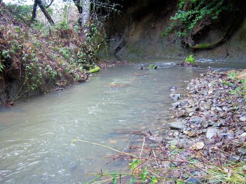 Undisclosed, Willits, CA 95490 photo 31