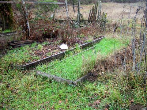 Undisclosed, Willits, CA 95490 photo 30