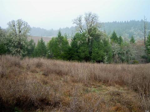 Undisclosed, Willits, CA 95490 photo 9