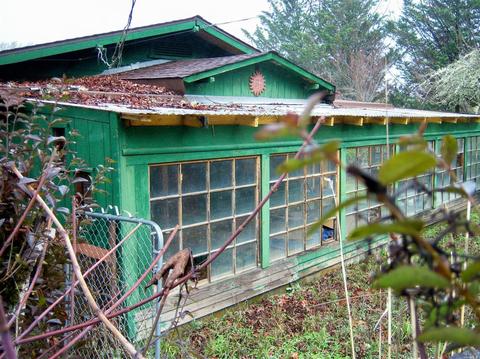 Undisclosed, Willits, CA 95490 photo 11