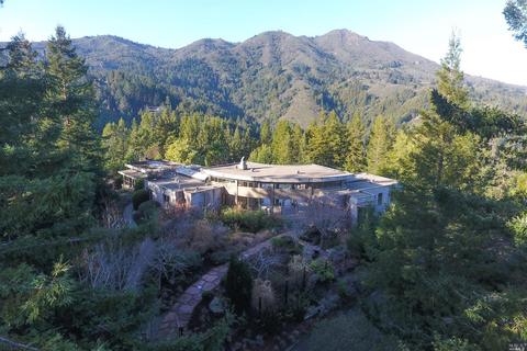 880 Edgewood Ave, Mill Valley, CA 94941 photo 46