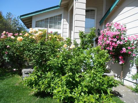 9580 Wellington Cir, Windsor, CA 95492 photo 1