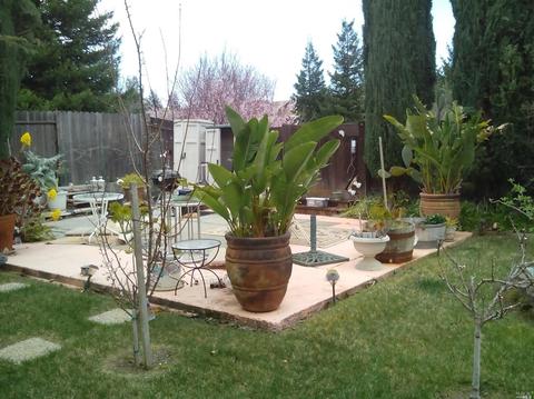 3800 Chapparal Dr, Fairfield, CA 94534 photo 5
