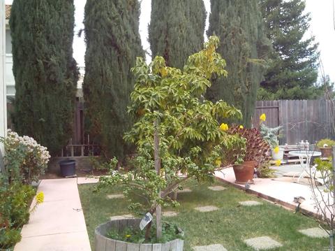 3800 Chapparal Dr, Fairfield, CA 94534 photo 4