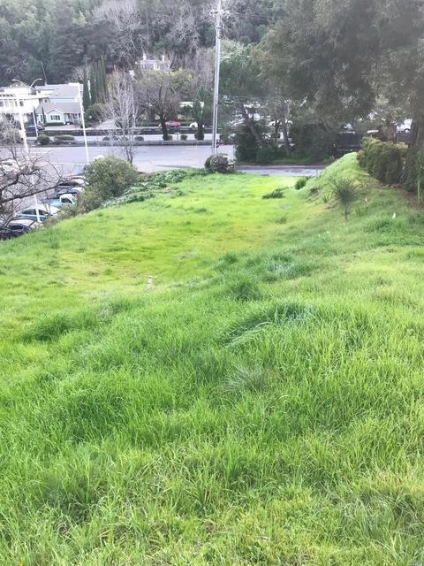 10 E Crescent Dr, San Rafael, CA 94901 photo 1