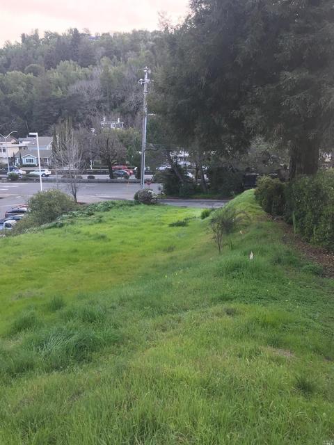 10 E Crescent Dr, San Rafael, CA 94901 photo 3