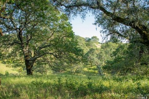 930 Shiloh Oaks Rd, Windsor, CA 95492 photo 21