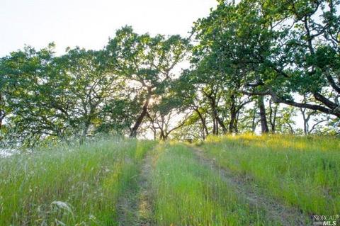 930 Shiloh Oaks Rd, Windsor, CA 95492 photo 16