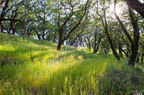 930 Shiloh Oaks Rd, Windsor, CA 95492 photo 14