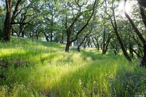 930 Shiloh Oaks Rd, Windsor, CA 95492 photo 15