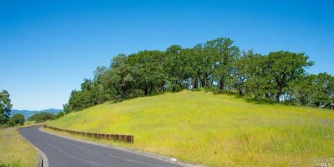 930 Shiloh Oaks Rd, Windsor, CA 95492 photo 6