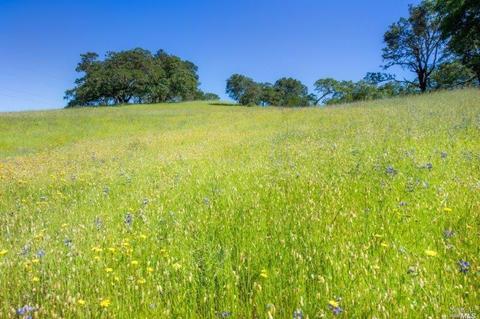 930 Shiloh Oaks Rd, Windsor, CA 95492 photo 4