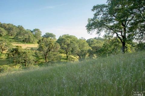 930 Shiloh Oaks Rd, Windsor, CA 95492 photo 20