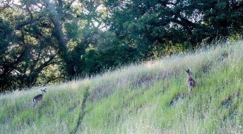 930 Shiloh Oaks Rd, Windsor, CA 95492 photo 23