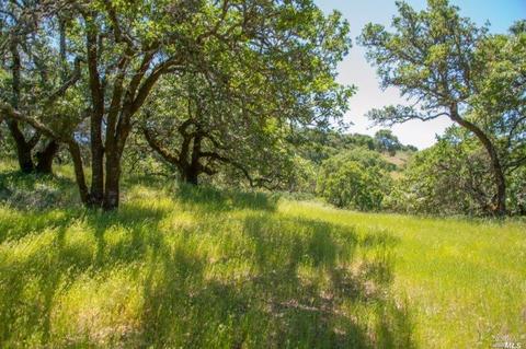 930 Shiloh Oaks Rd, Windsor, CA 95492 photo 2