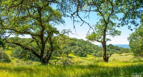 930 Shiloh Oaks Rd, Windsor, CA 95492 photo 12
