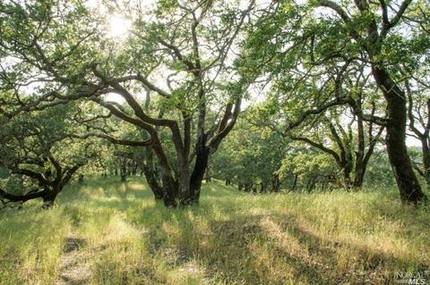 930 Shiloh Oaks Rd, Windsor, CA 95492 photo 19