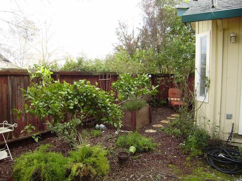 349 Wilson Ln, Windsor, CA 95492 photo 16