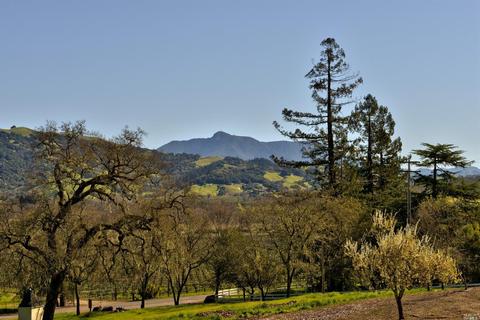 4002 Old Barn Rd, Healdsburg, CA 95448 photo 22