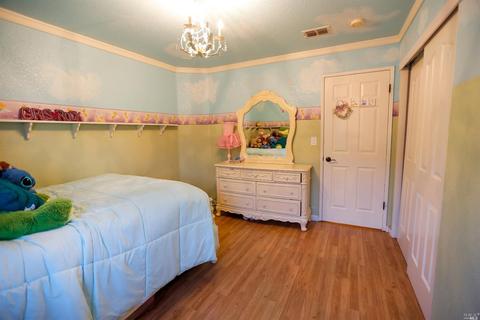655 Woodard Way, Dixon, CA 95620 photo 13