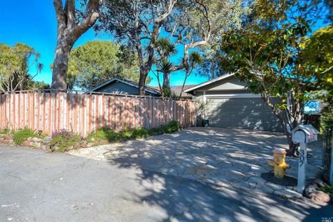 307 Cape Ct, Mill Valley, CA 94941 photo 27