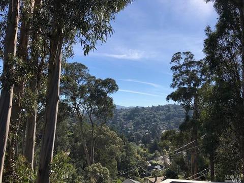 307 Cape Ct, Mill Valley, CA 94941 photo 29