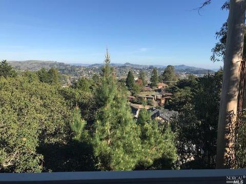 307 Cape Ct, Mill Valley, CA 94941 photo 28