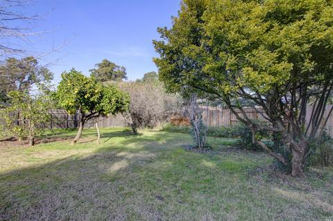 53 Willotta Dr, Fairfield, CA 94534 photo 28