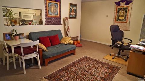 33-35 Willow Ave, Fairfax, CA 94930 photo 19