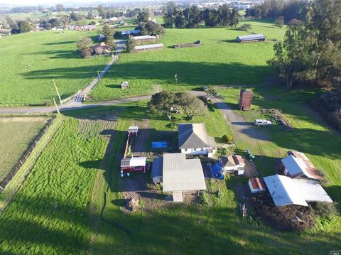 907 Elysian Ave, Penngrove, CA 94951 photo 15