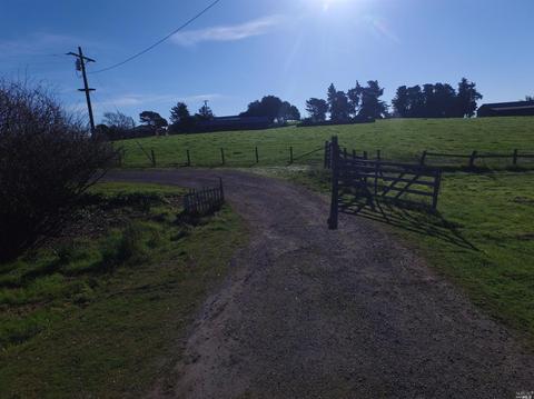 907 Elysian Ave, Penngrove, CA 94951 photo 19