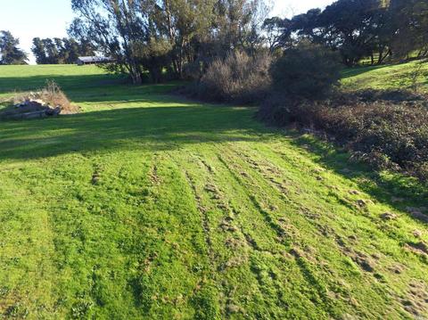 907 Elysian Ave, Penngrove, CA 94951 photo 17