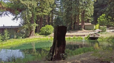 2775 Joy Rd, Occidental, CA 95465 photo 38