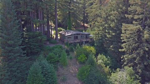 2775 Joy Rd, Occidental, CA 95465 photo 39