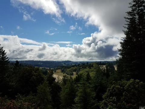 2775 Joy Rd, Occidental, CA 95465 photo 41